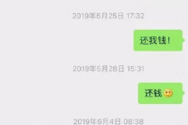 枝江为什么选择专业追讨公司来处理您的债务纠纷？